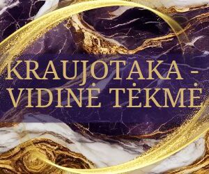 kraujotakos ir sirdies ligu psichosomatika seminaras su indre asada