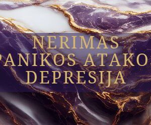 nerimas panikos atakos depresija seminaras su indre asada