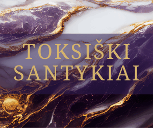 toksiski santykiai santykiai
