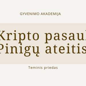 kripto pasaulis pinigu ateitis